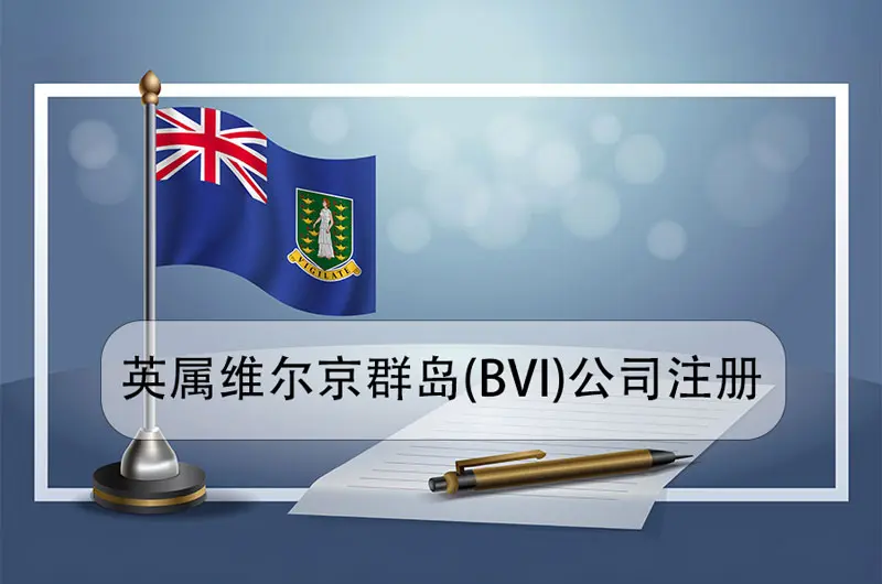 BVI(Company)Setup