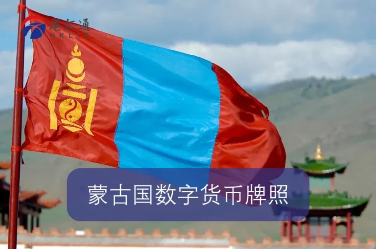 Licence de monnaie numérique de Mongolie