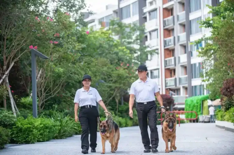 香港保安公司牌照