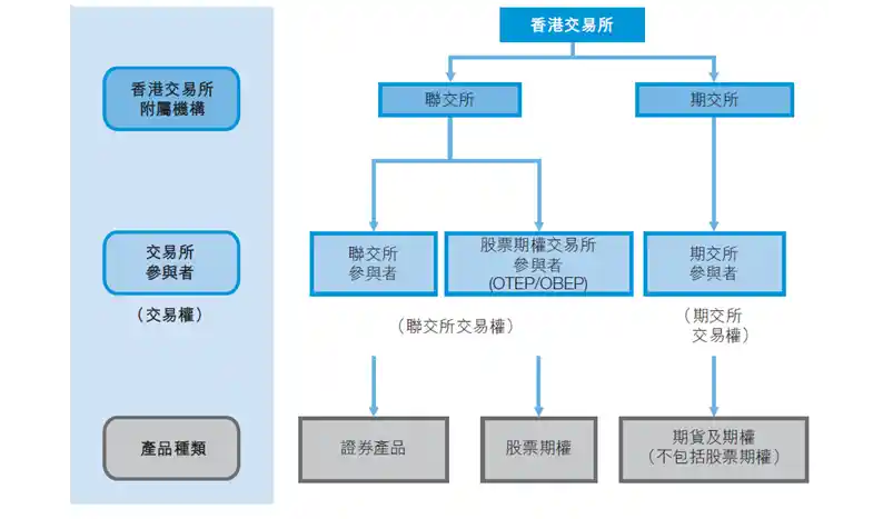 香港交易所参与者架构