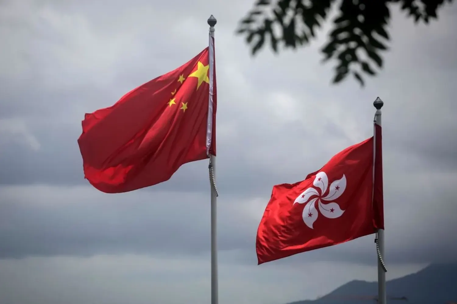 香港保险经纪牌照申请条件 资本、CE资质与合规体系|香港保险牌照配图2 香港保险经纪牌照申请条件 资本、CE资质与合规体系|香港保险牌照配图2
