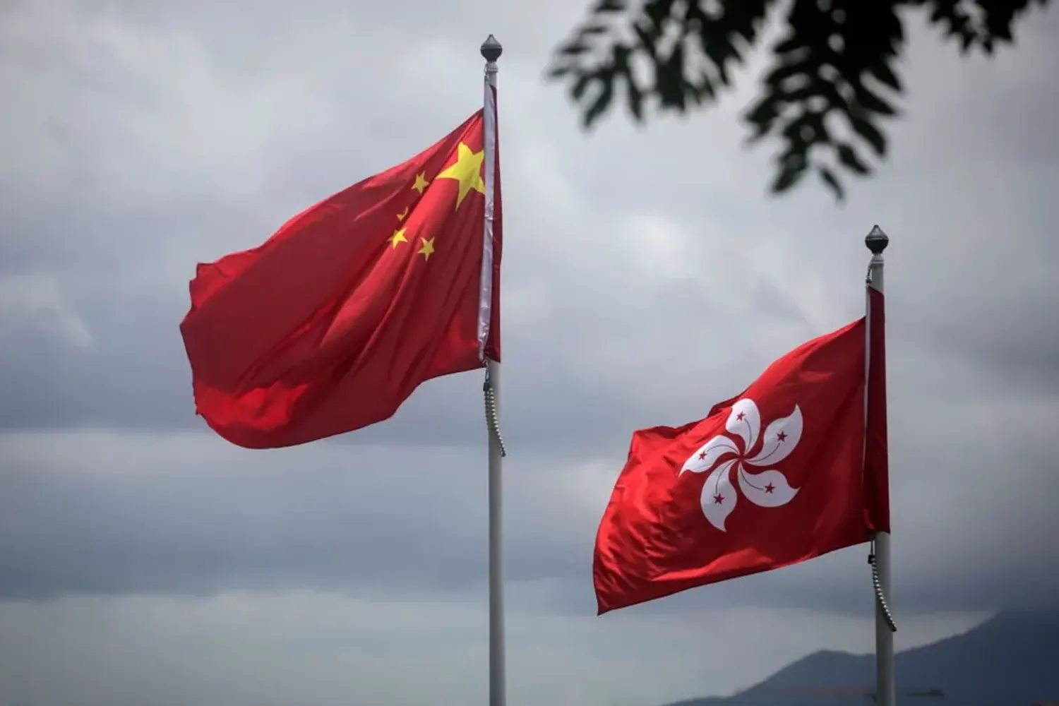 香港保险经纪牌照申请被拒怎么办 常见原因与上诉攻略｜香港保险牌照配图1