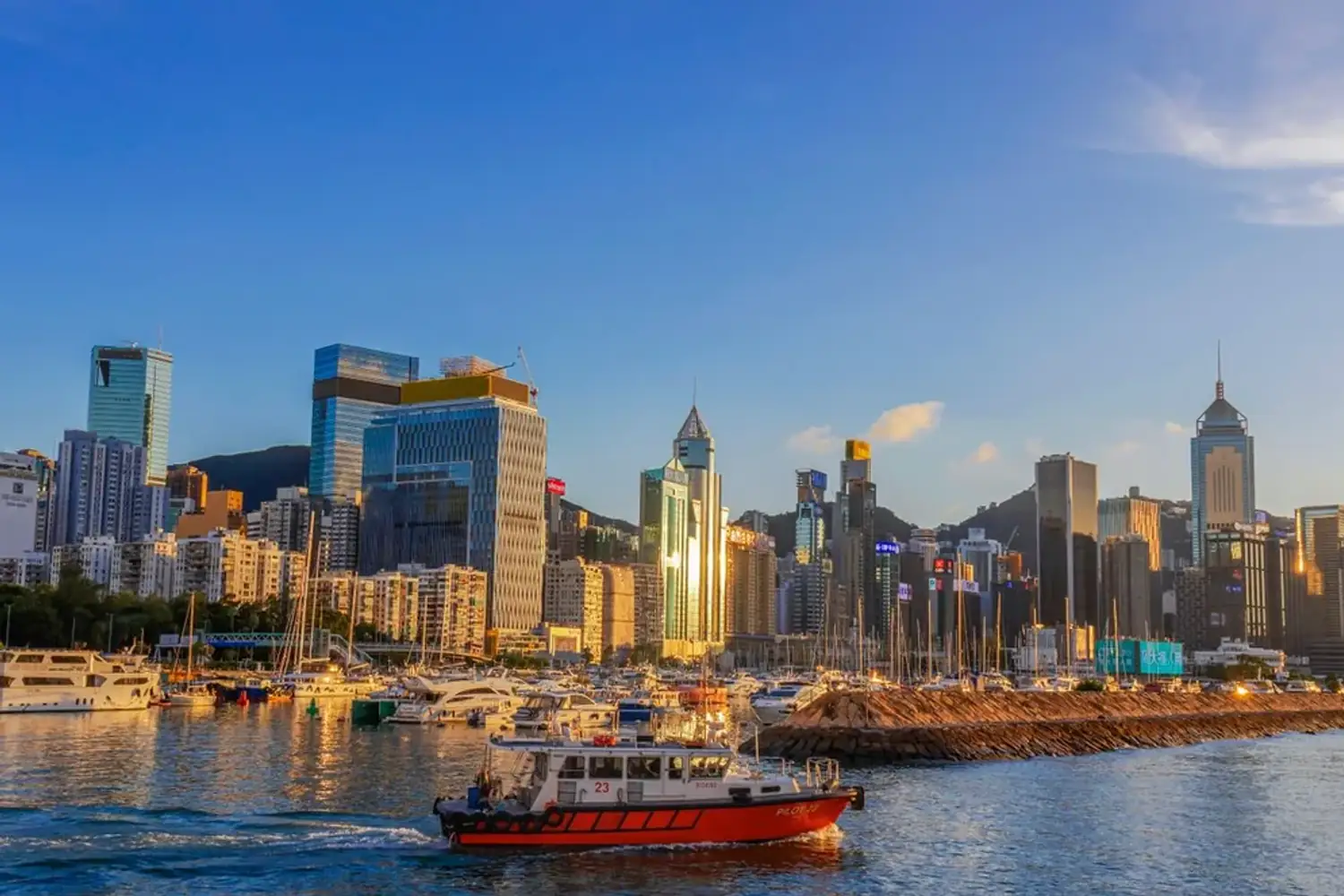 在香港注册公司后，为何必须申请TCSP才能提供秘书服务？，该图展示企业设立及商业登记相关资料