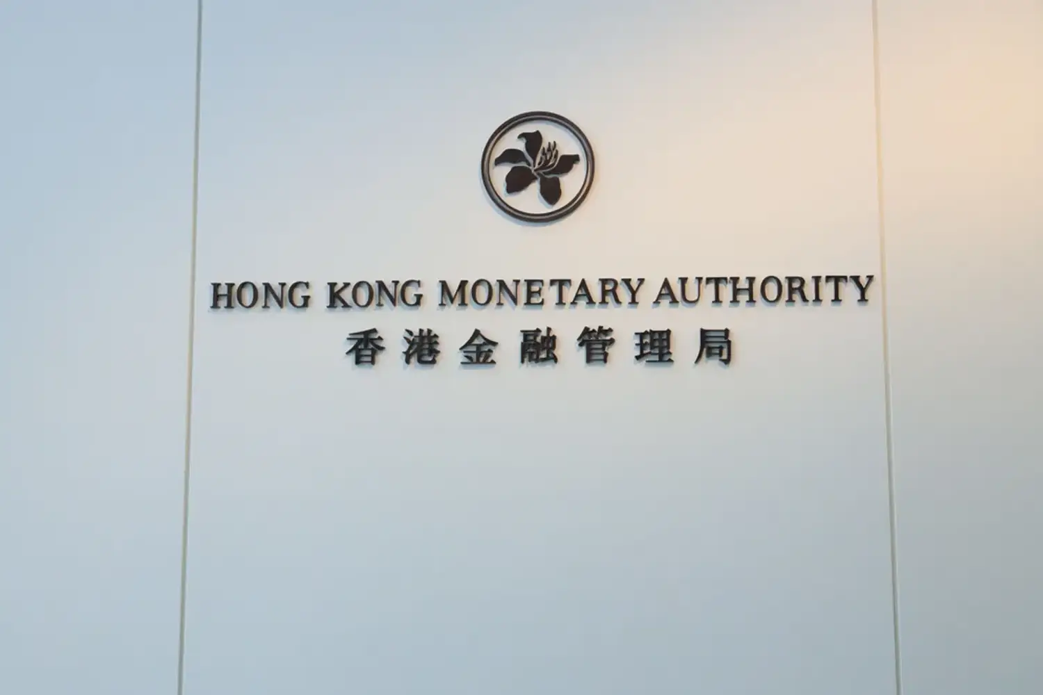 VASP牌照与MSO牌照结合：稳定币兑换业务合规方案，该图展示持牌金融业务的监管安排