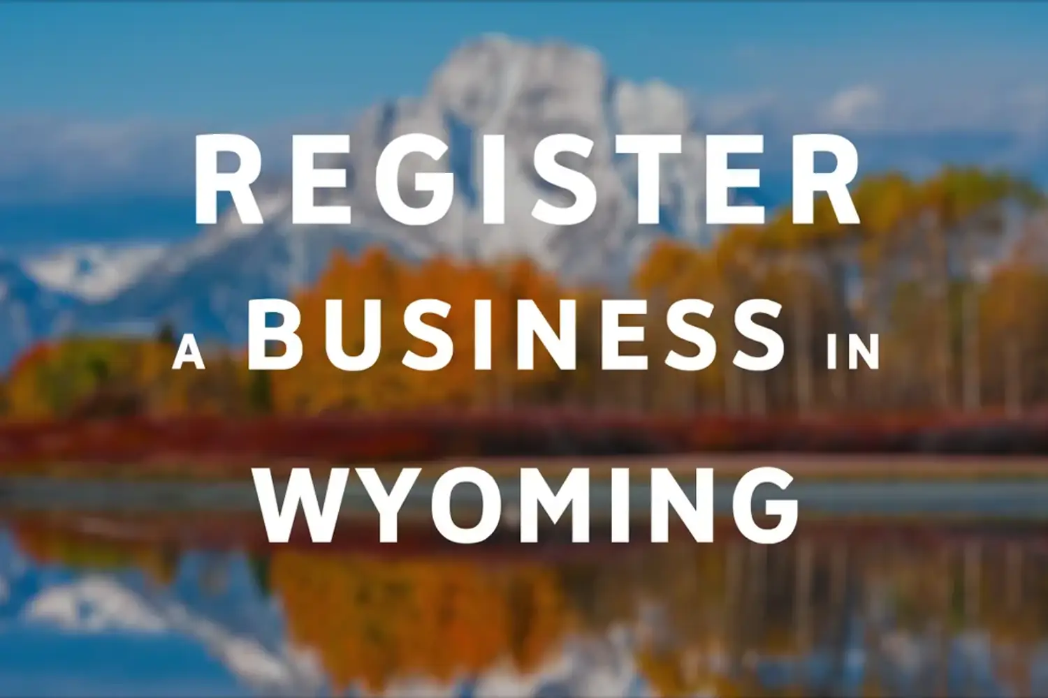美国怀俄明州（Wyoming）LLC注册：匿名性与资产保护，该图展示企业设立及商业登记相关资料
